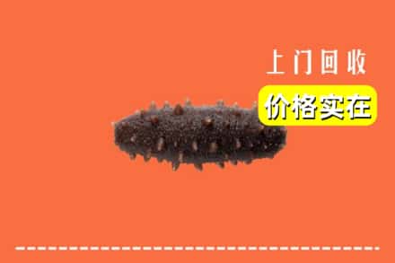 收购资讯:西宁城西区回收海参
