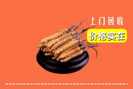 西宁城西区回收冬虫夏草