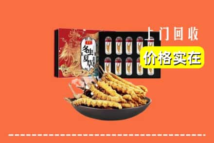 西宁城西区回收虫草