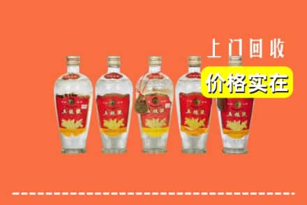 西宁城西区回收老五粮液